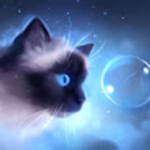 Meet your Posher, Alan